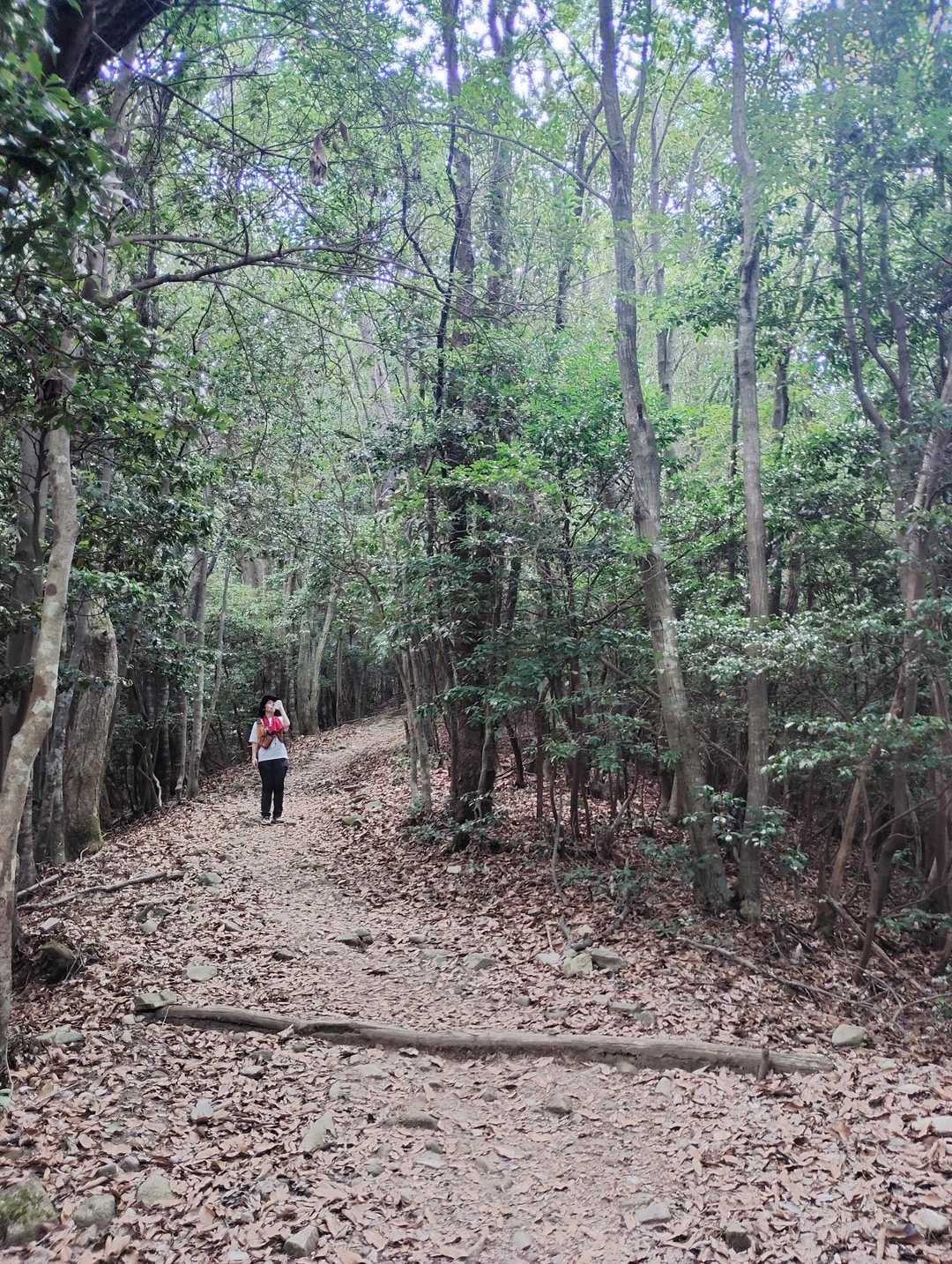 山頂では同じ時間帯に登り始めた方や、18㎏のザックを背負って3往復した女性も登って来られた。
白木山は強者だらけ😲