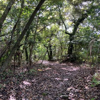 山頂まではあと少し