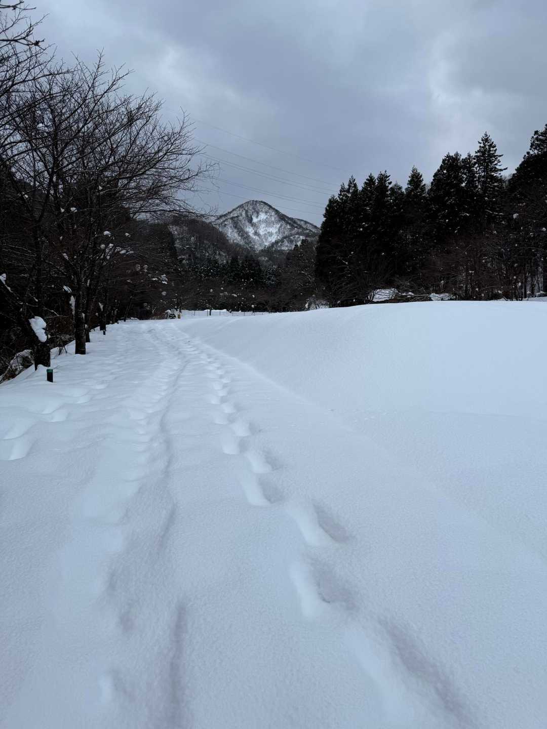 マジか😓此処から
鞍掛山遠いなぁ〜⛰️
