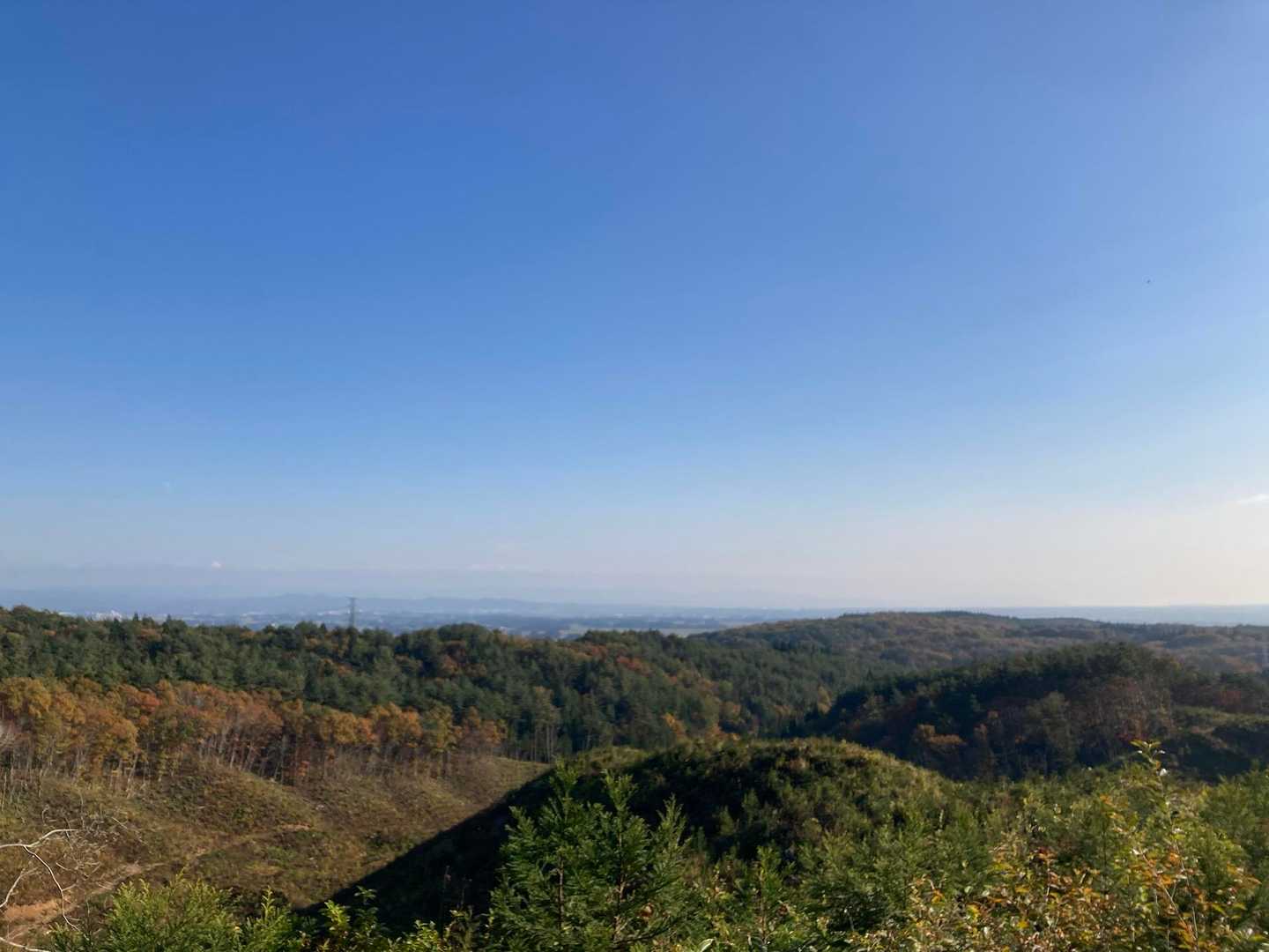 長根崎山-八方山 往復コースの写真