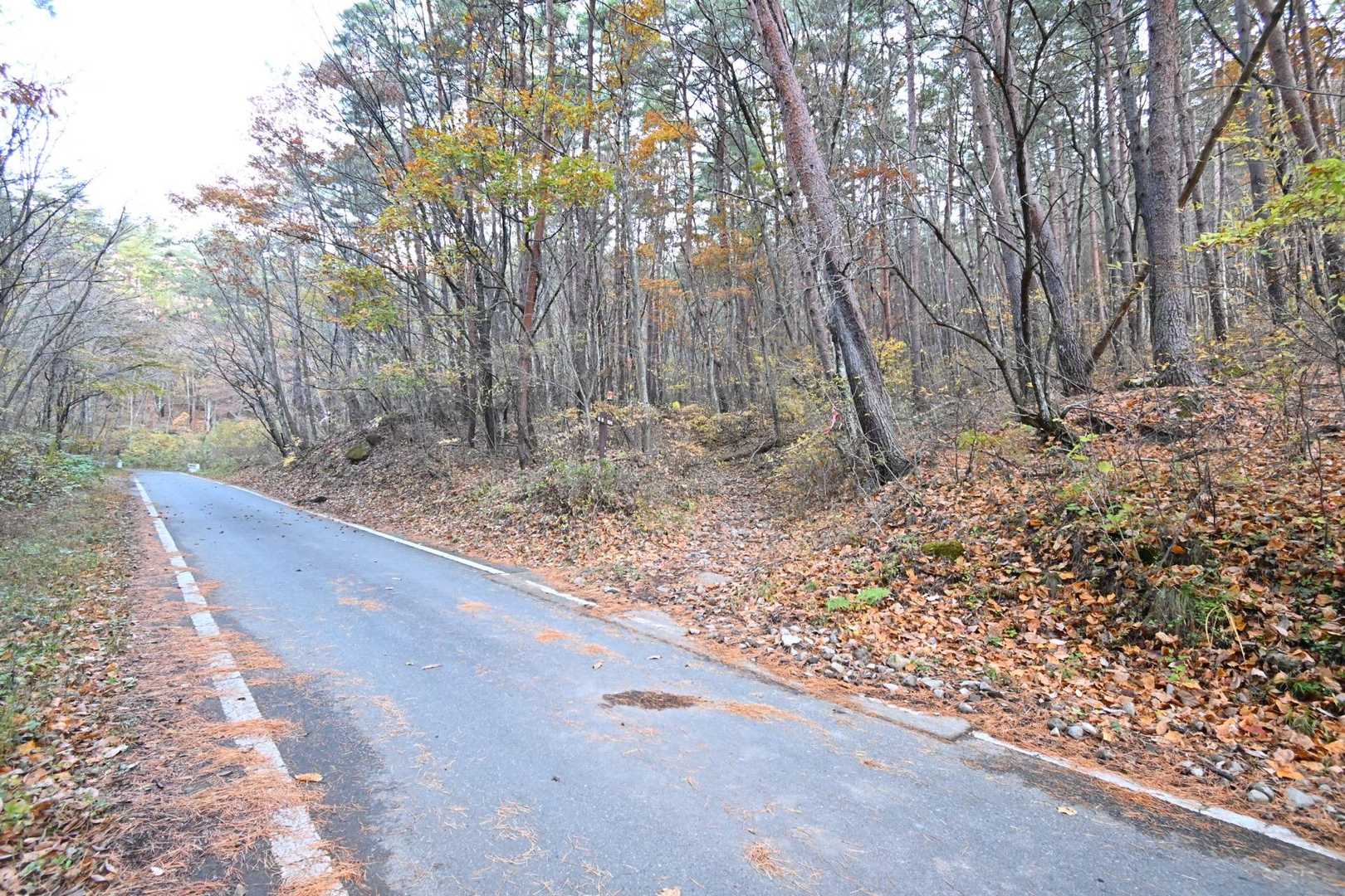茅ヶ岳周回 | 日本百名山の著者終焉の地は、富士山・南アルプス・八ヶ岳の展望台の写真