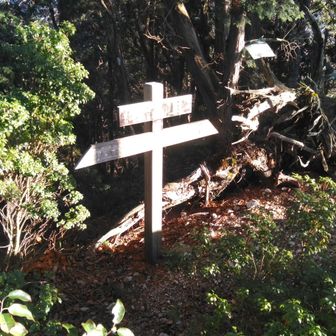 左白屋林道　右武木林道　右を引き返します