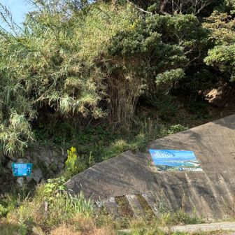 ここから登ります