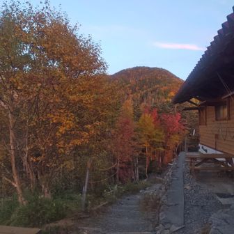 赤石小屋も紅葉が進みます