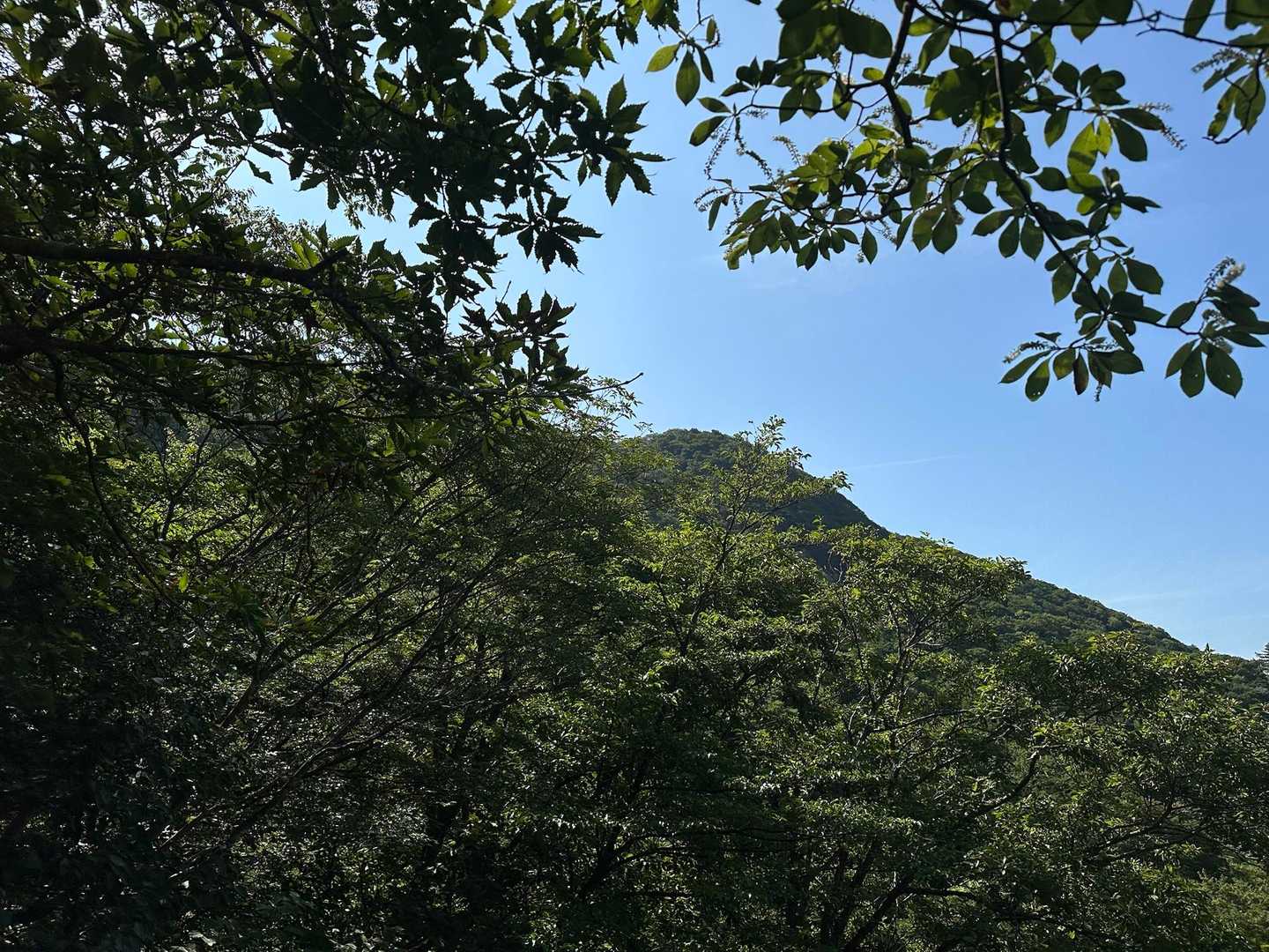 南峰が見えます😊