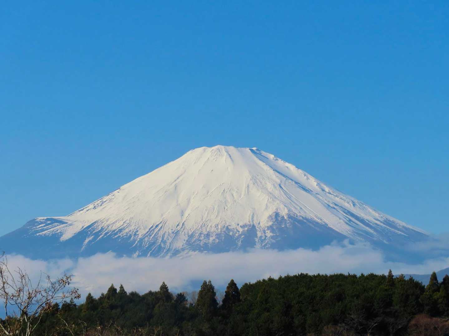 登山道からの富士山
今日は凄く鮮やかな富士山