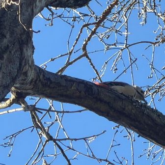 カメラの性能に感謝だなぁ