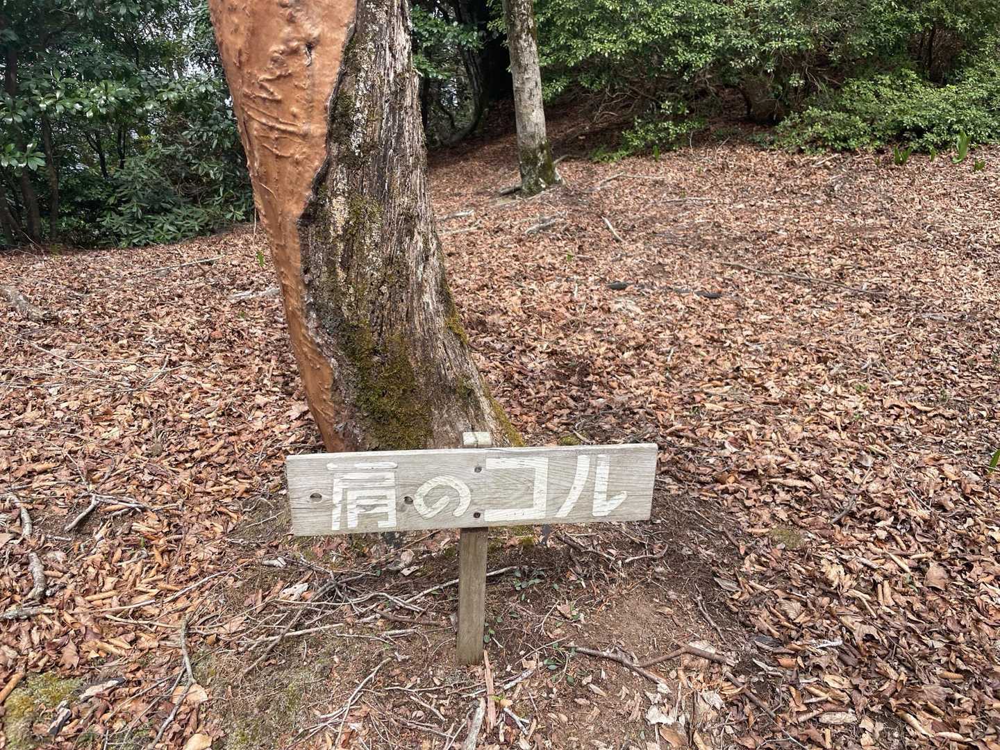 肩のコル