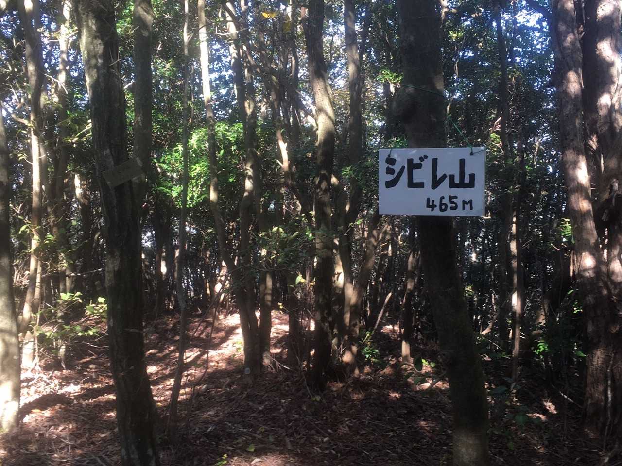 シビレ山🚩に立ち寄って早めに🍙