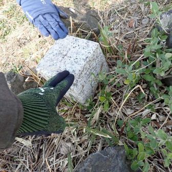 若竹山山頂三角点ヨシ！