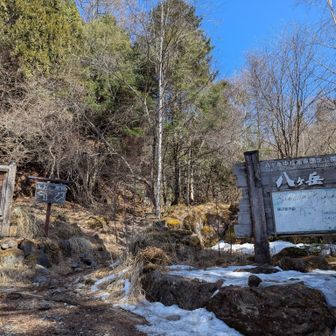 戻ってきたけどここからさらに歩かなければならない。40分くらい？