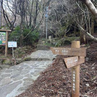 よろしくお願いします