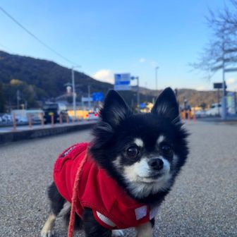 goal🏁🙌

素晴らしい天気のもと☀️🟦
気持ちよく歩ける幸せを
しみじみ感じた1日だった💕

おしまい。
