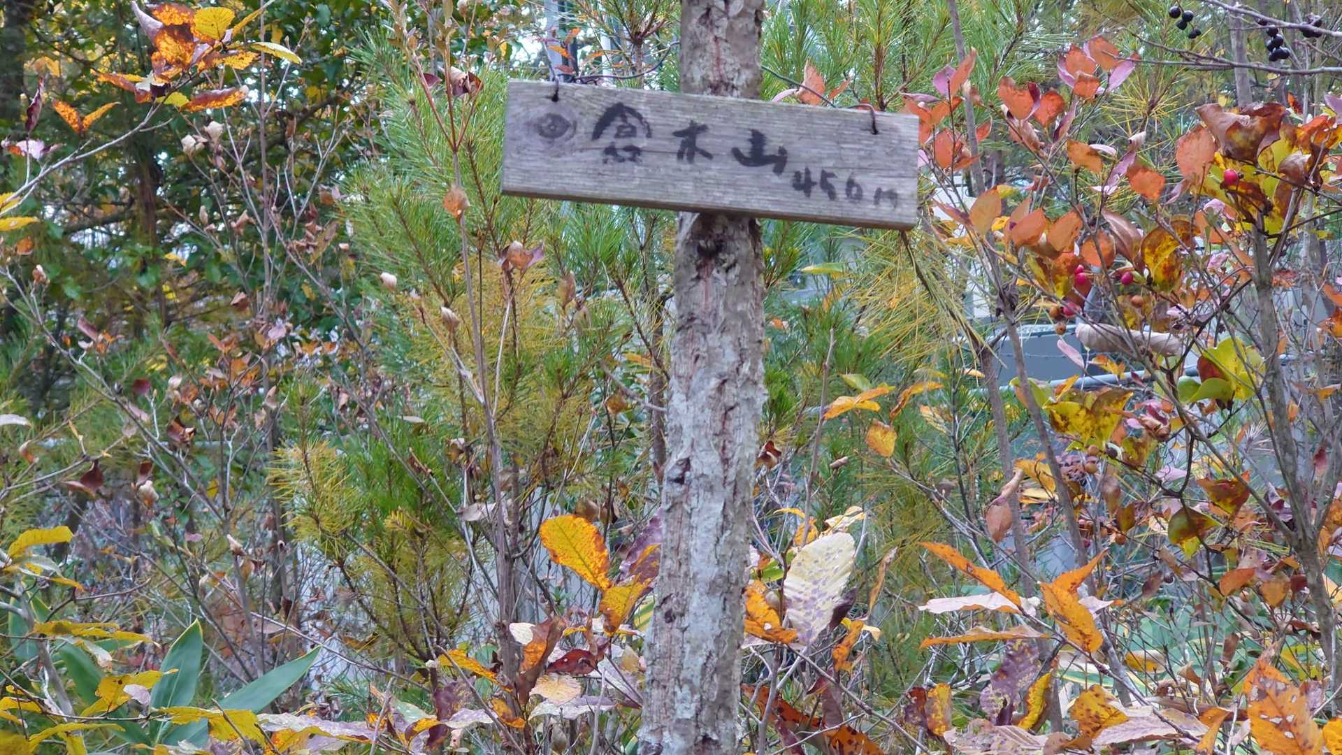倉木山⛰山頂