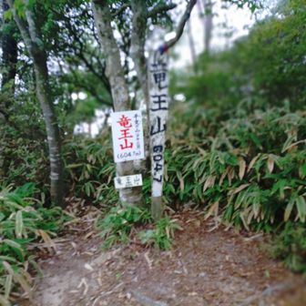 モチロンのように誰もいません