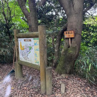 飯盛山の山頂に到着