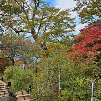 帰路は景色を楽しみながら下山します