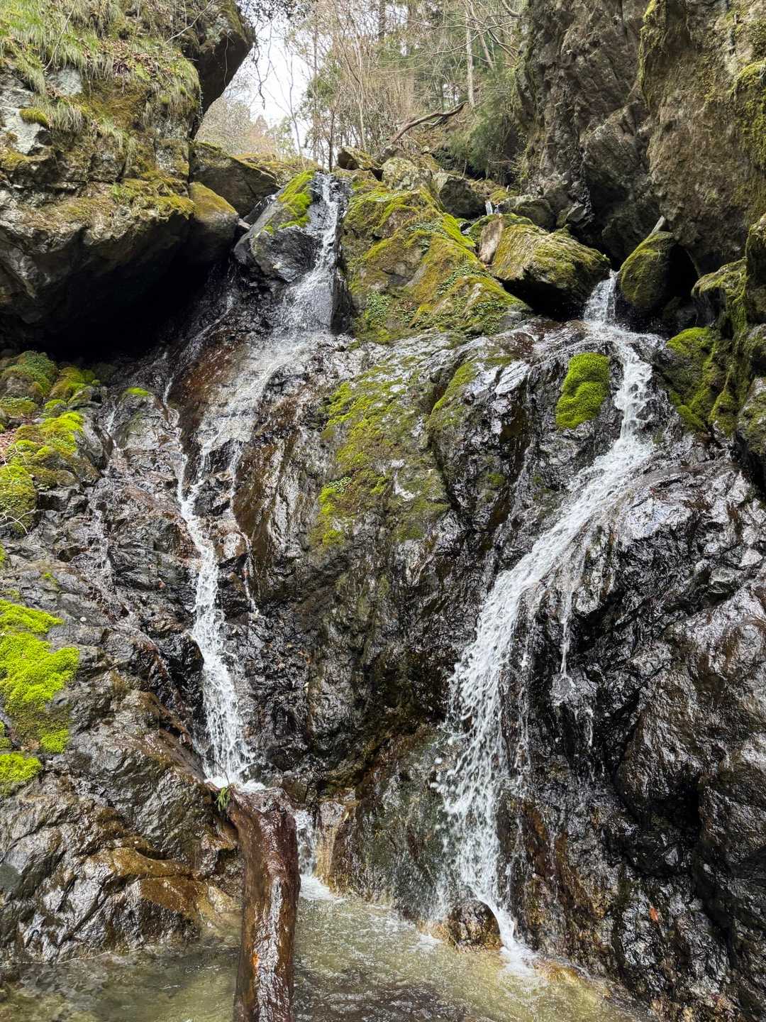 雪彦山登山口-大天井岳 周回コースの写真