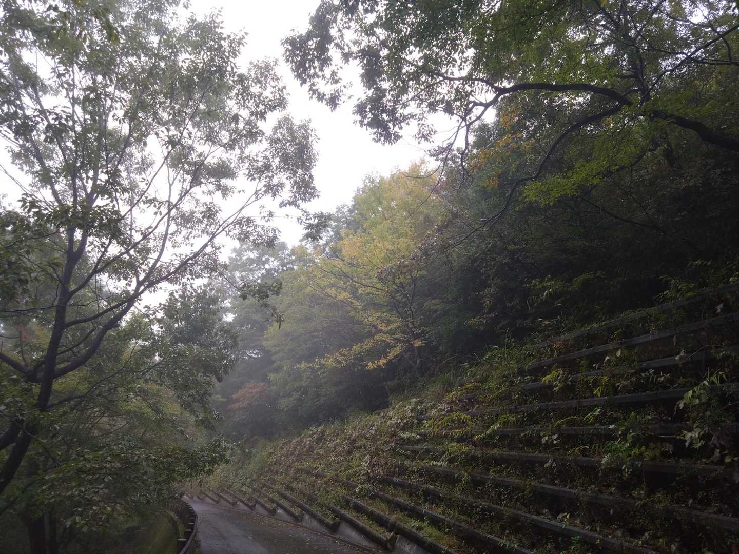 ﾃｸﾃｸ🚶