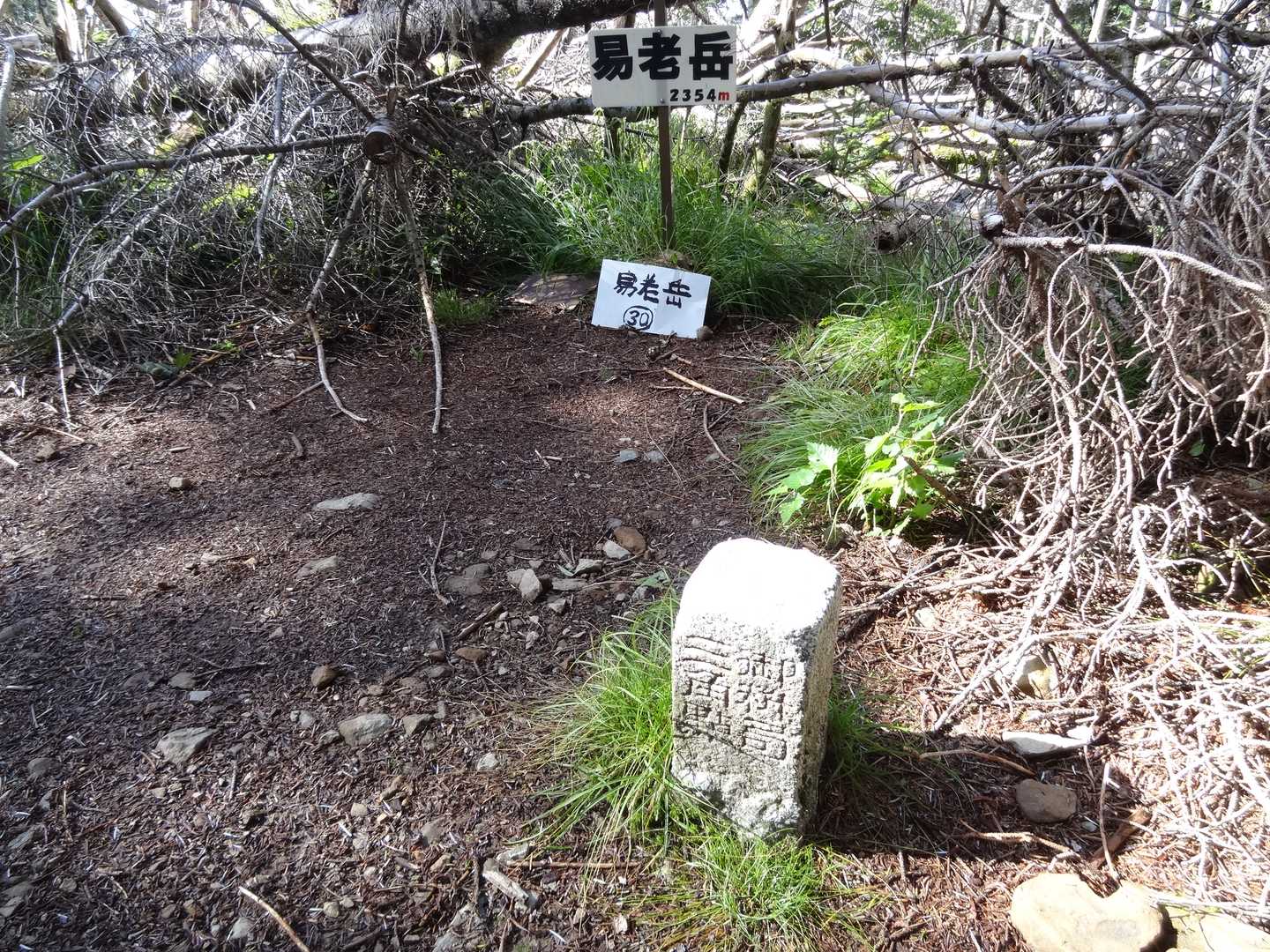 写真はいきなり易老岳山頂ですが、ここまで地味に長いです。
光岳と茶臼岳の分岐を茶臼岳側に少しだけ進んだ奥に山頂があります。