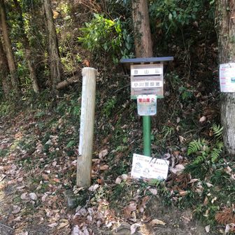 ここから登山道☝️