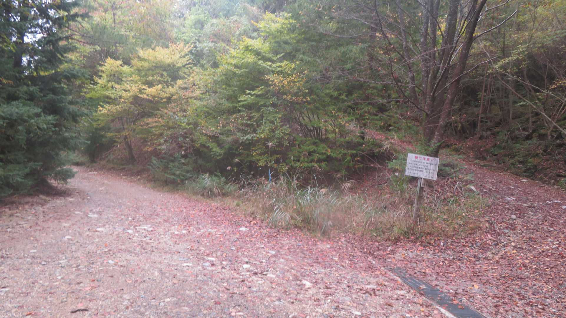 蝙蝠岩の分岐　熊に注意🐻