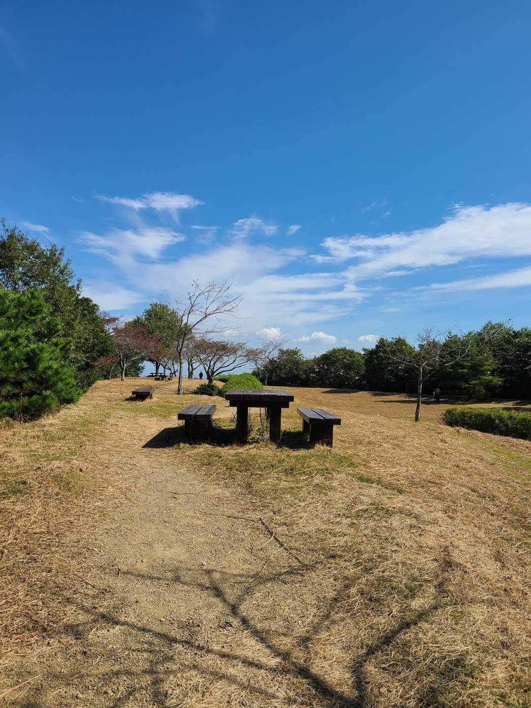 二之瀬越-志津山 往復コースの写真