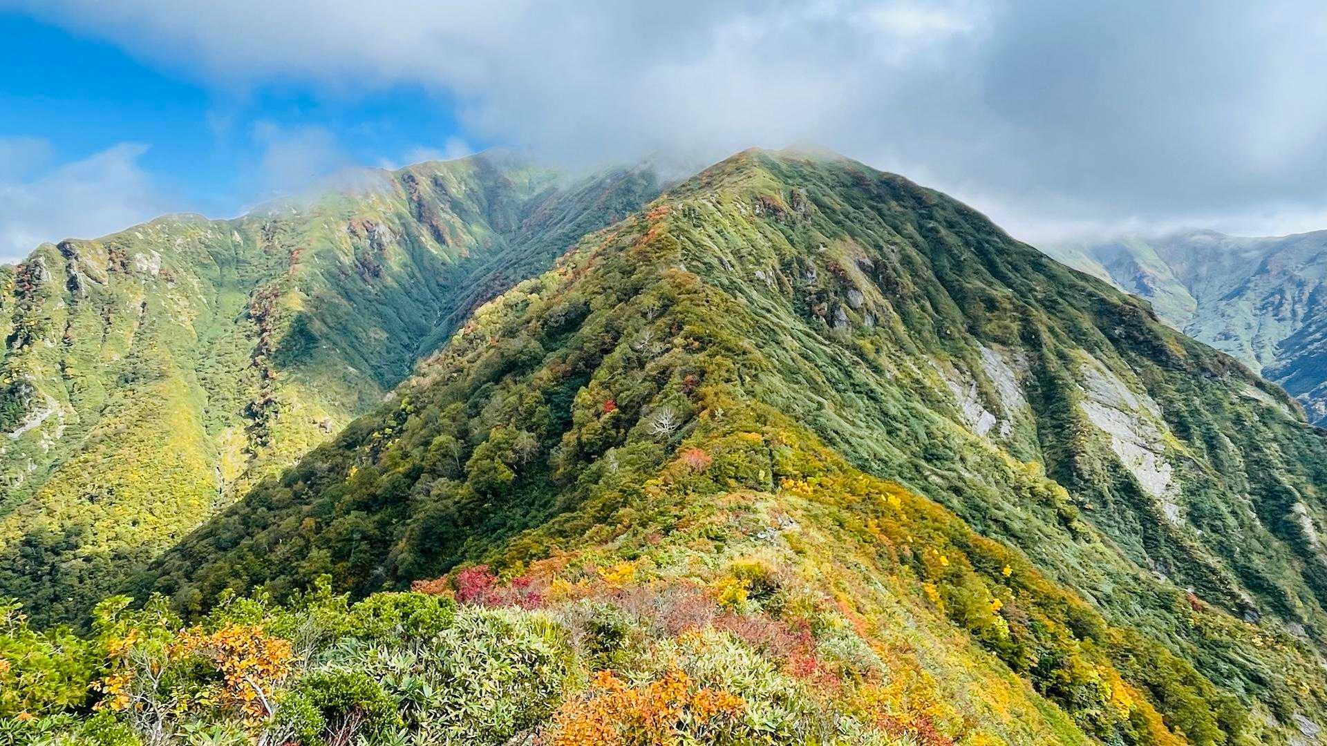 茂倉山頂からずっと胃が痛む感じで我慢しながら下山してたけどこの場所に来る頃には胃・眠さともに正常な状態に戻っていて若干あった気怠さも解消されていた。でも相当にペースを落とし心拍が上がらぬようペース配分。更に何処かで最後の飲料となるポカリをロスト。完全に水分補給が不可能な状態で下山することとなってしまった。結果今回の水分補給は500ml。やはり余裕を持たないとダメっすね😅