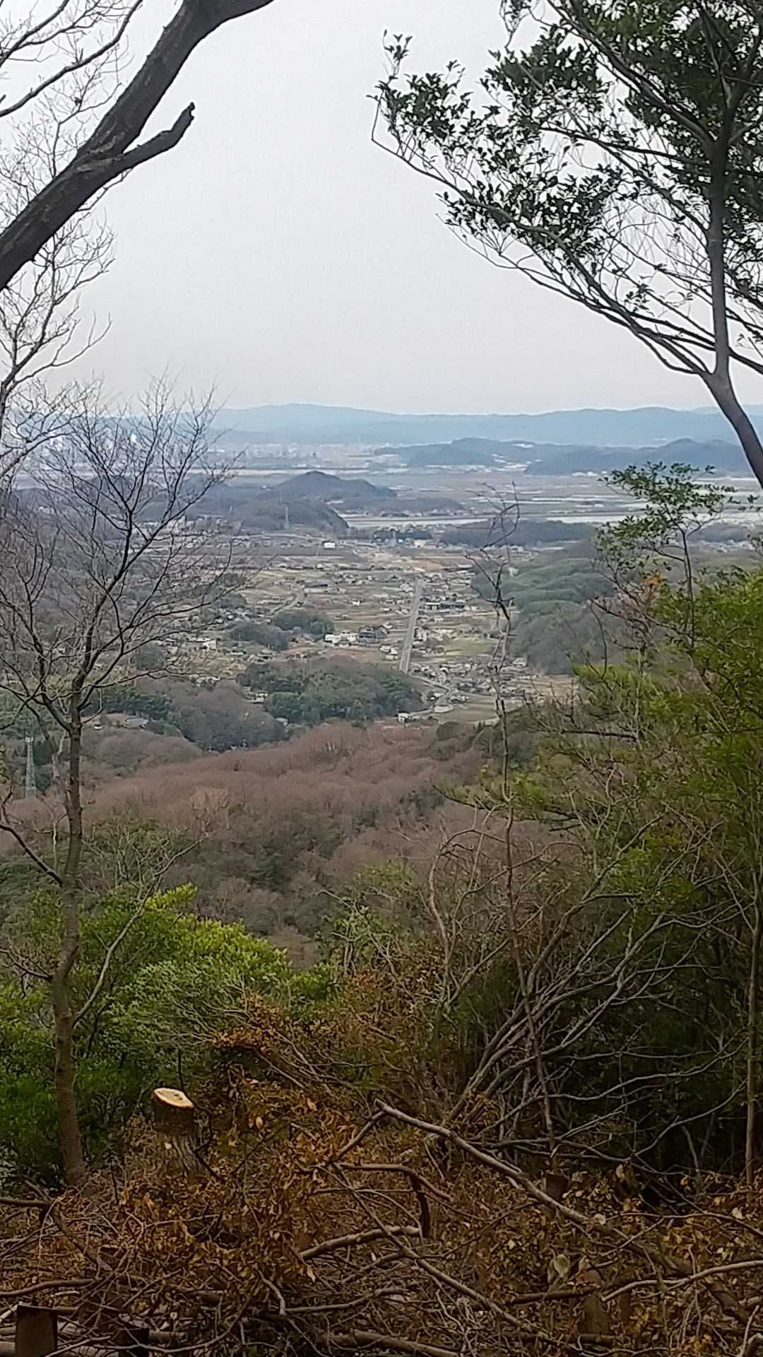 西側の展望が開ける⤴️