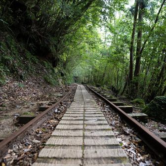 こんな道をずーっと歩きます🚶