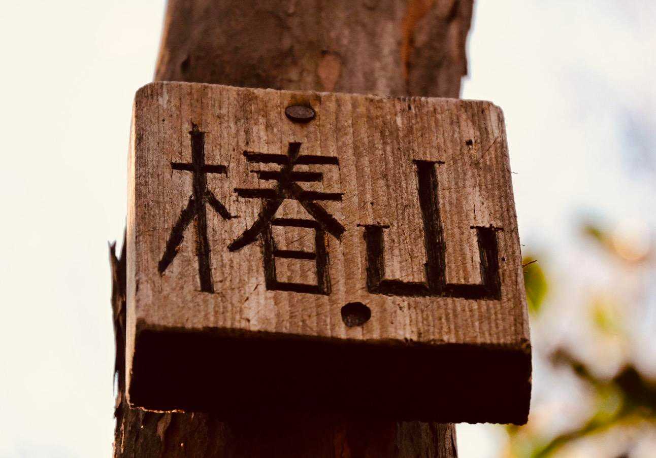 唐沢山-高鳥屋山-京路戸山-京路戸峠-諏訪岳 周回コースの写真