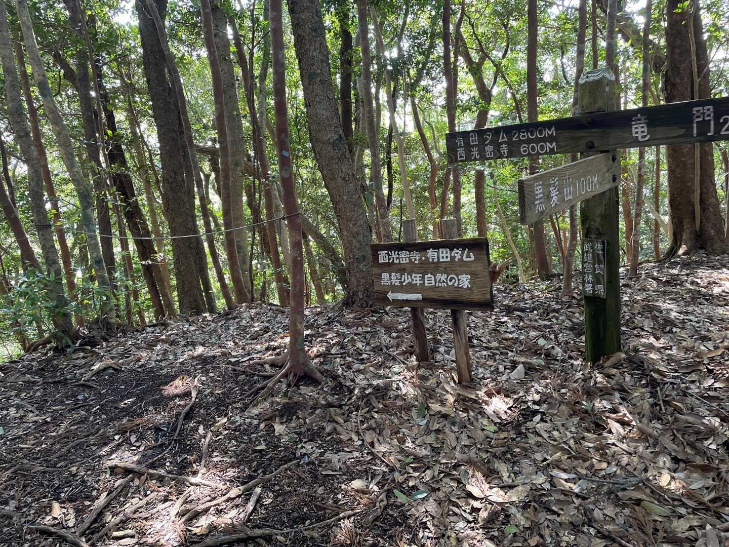 有田ダム方面へ周回するよ！