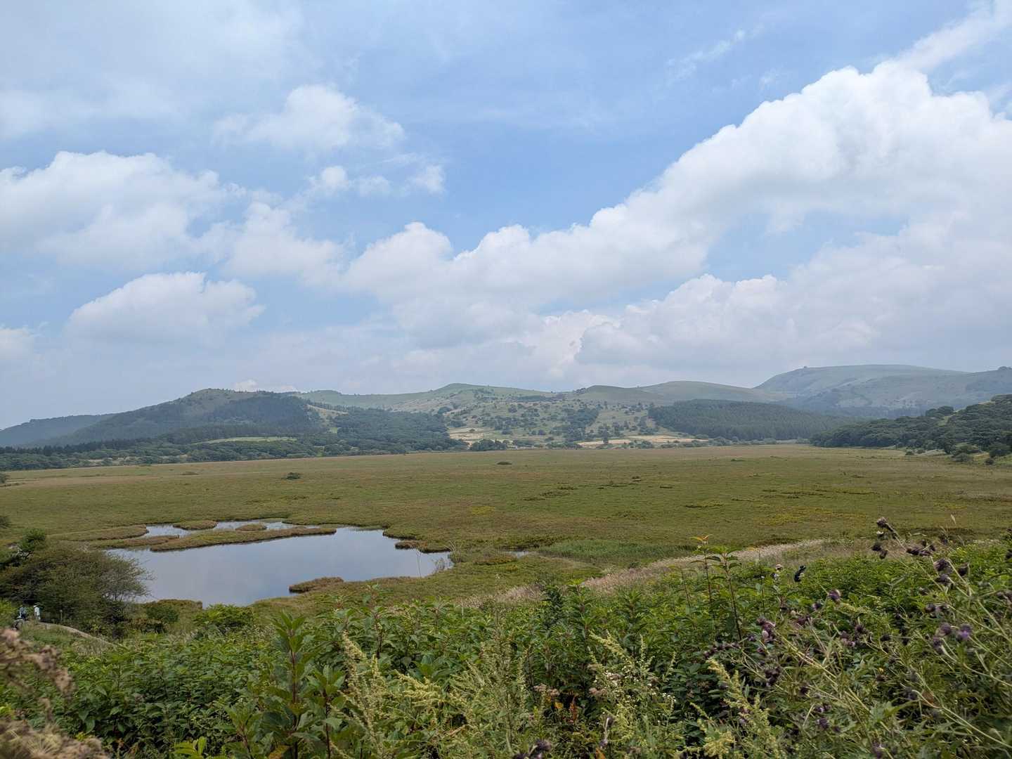 八島湿原