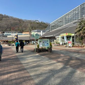 とちぎ花センター寄りました🌸