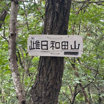 前回取りそびれた、
雌日和田山（グレピ）GET⛰️

でも気付いたことが…
これ、わざわざ取りに行かなくても、女坂通るだけでゲットできるやつかも…
前回は男坂通ったから、ゲットできなかっただけかも…
あちゃー😣知らんかった🤣