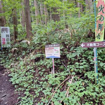 不動滝コースの登り口に降りてきました