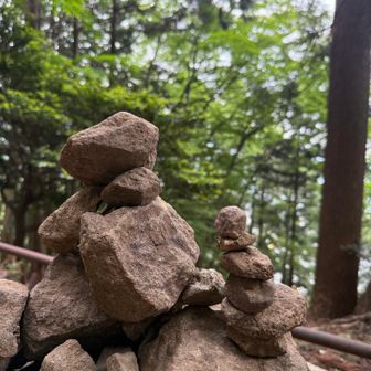 どうせ地球は丸いのだ