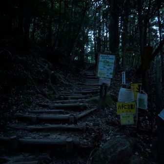夜明け前でまだ暗い登山口