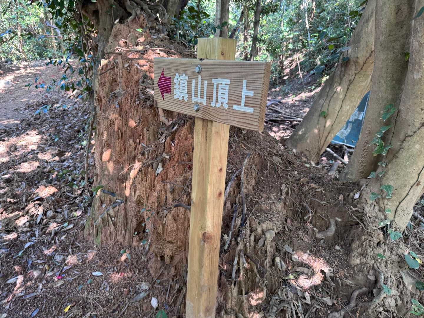 綺麗な案内板