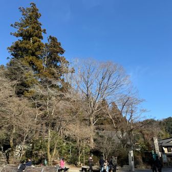 やっぱりガラガラではない高尾でした。
高尾山口のホームで息子の担任から電話きた😂
せっかくの息抜きが
今日は爆速で現実に戻された😇