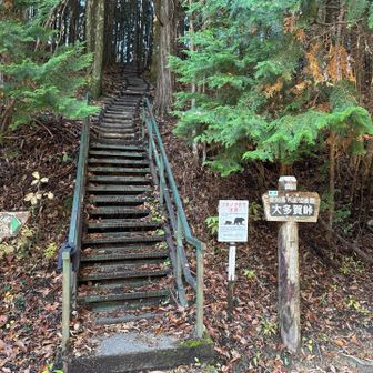 登山口、早速長い階段