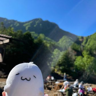 やまのあざらしさん♂