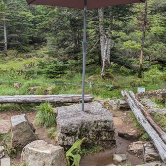 クリーム玄米ブランを食べた火山岩のテーブル
渋い