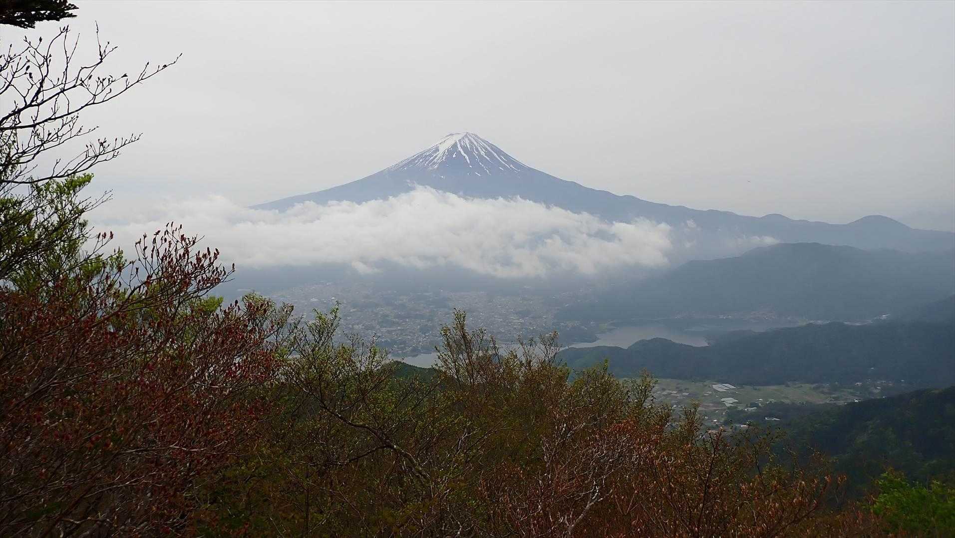 8時36分曇っていましたが、富士山がバッチリと見えました