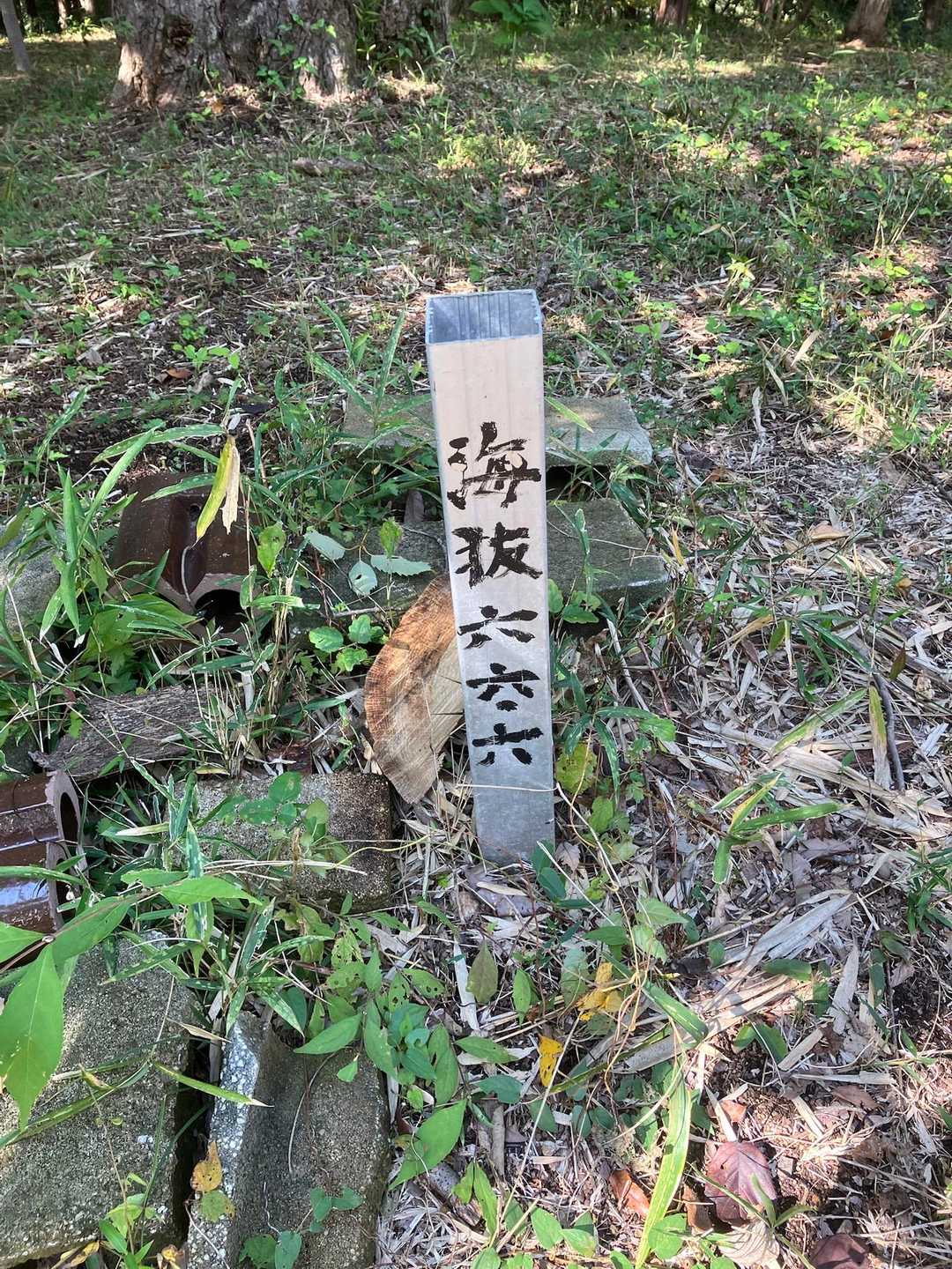 丸山