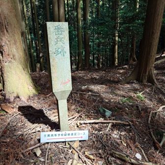 タフな鍛錬遠足コースだ