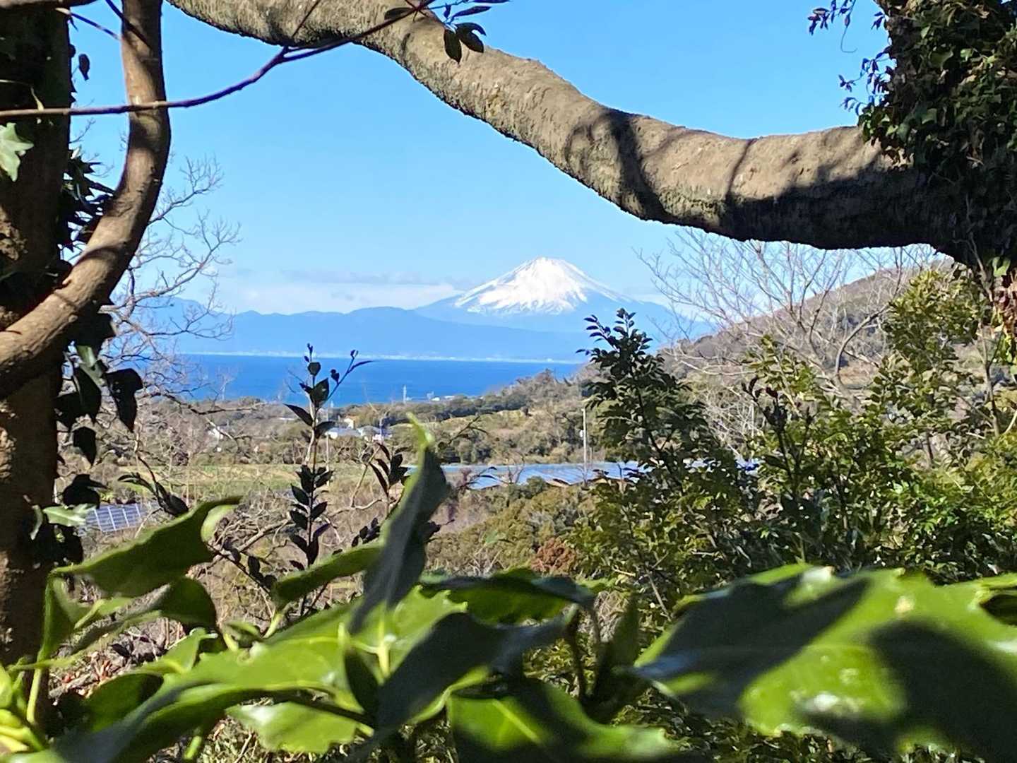 スキマから富士山！😄
