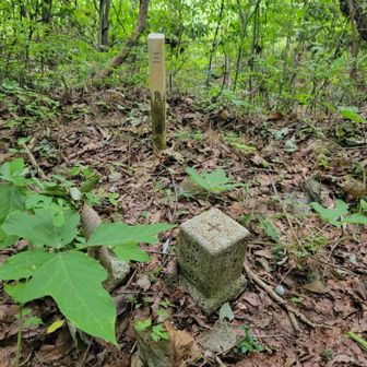 空腹とスタミナが切れかけながらも何とか大山登頂😫標高85.6m。

この辺藪っぽいし蜘蛛の巣だらけで嫌になる🥺