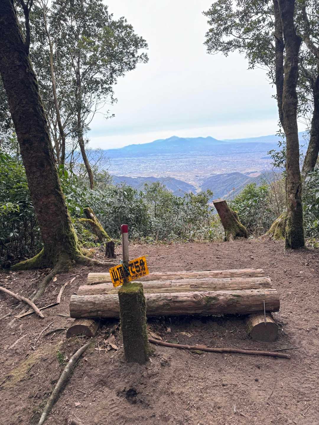 牛の峠登山口-牛の峠 往復コースの写真
