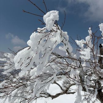 昨日はかなり降ったのかな☃️